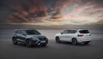 Cupra Ateca 2020 года (WW)
